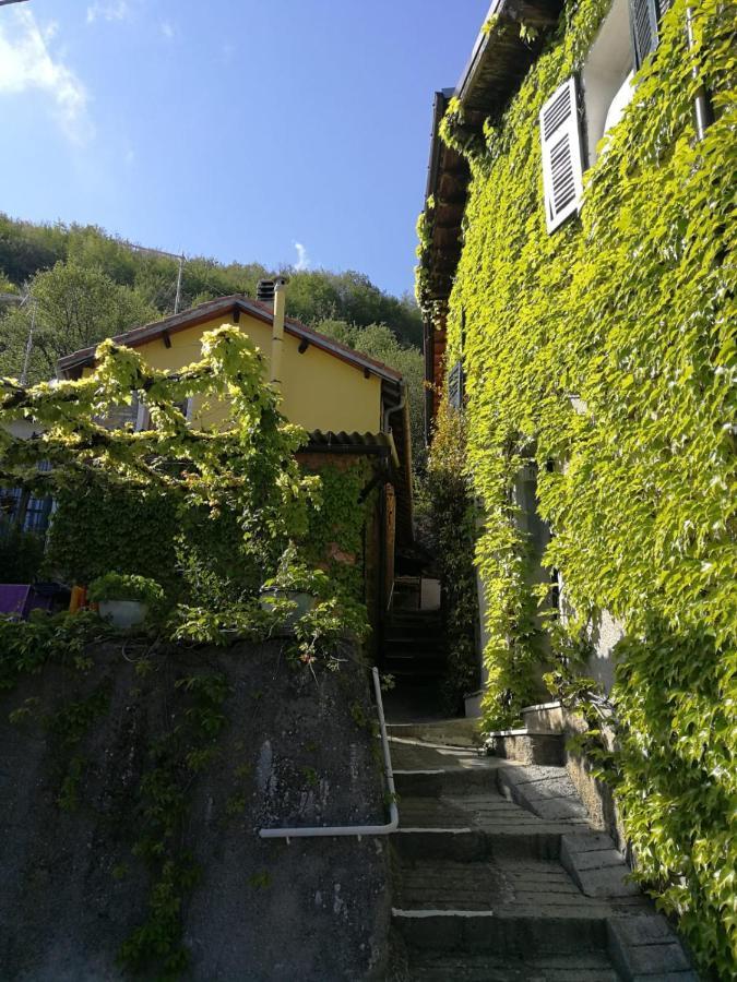 Casale Maria Mafalda Pieve di Teco المظهر الخارجي الصورة